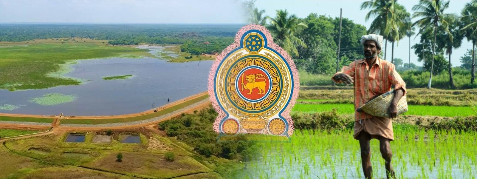 பேரனர்த்தத்தில் சேதமடைந்த குளங்கள்